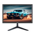 EVM 18.5 Inch LED Wide Monitor (190 Grand)