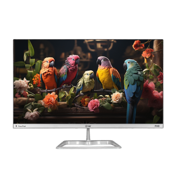 EVM Plasma S220 21.5(22) Inch 100Hz Full HD VA Monitor (Silver/White)